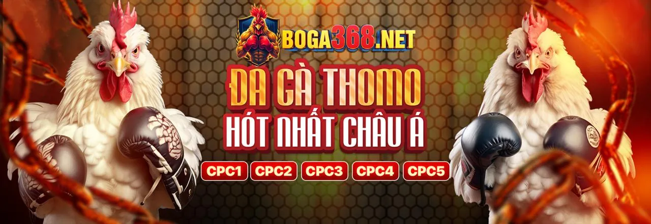 Tin tức giải trí và cá cược hàng đầu Việt Nam tại x888 login